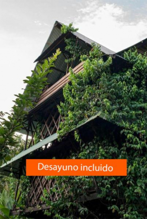 Ayahuasca